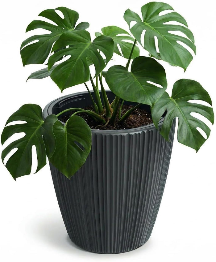 Prosperplast Blumentopf ORO 23,9 x 24 cm dunkelgrau - mit herausnehmbarem Pflanzeinsatz | Kunststoff Pflanzgefäß für Innen & Außen | modern, robust | ideal Balkon & Terrasse